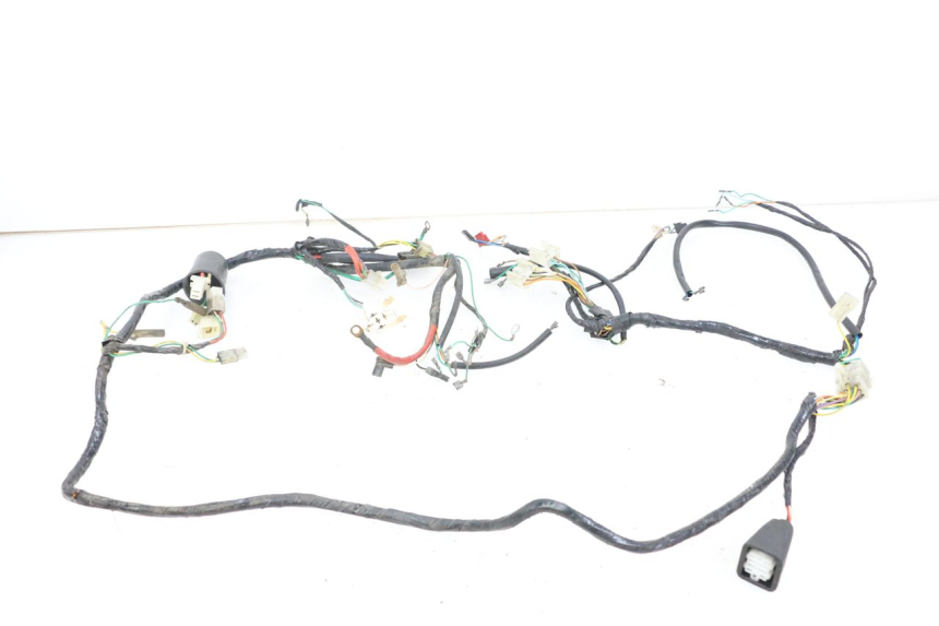 photo de WIRING HARNESS PEUGEOT BUXY 50 (1993 - 1998)