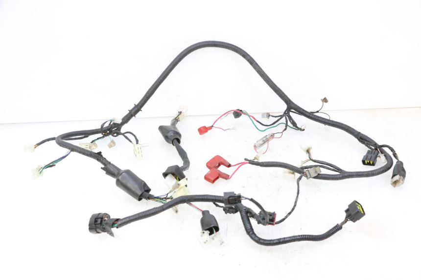 photo de WIRING HARNESS ORCAL CAVARO 4T 50 (2019 - 2023)