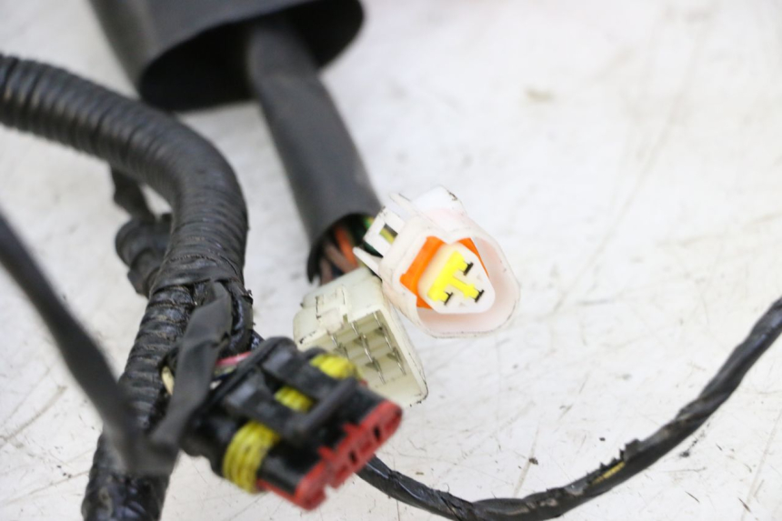 photo de WIRING HARNESS ORCAL CAVARO 4T 50 (2019 - 2023)