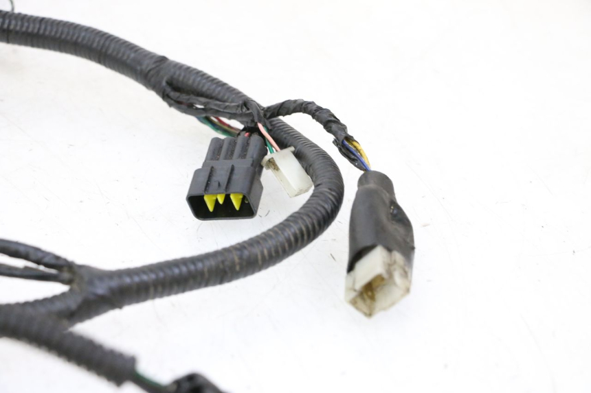 photo de WIRING HARNESS ORCAL CAVARO 4T 50 (2019 - 2023)