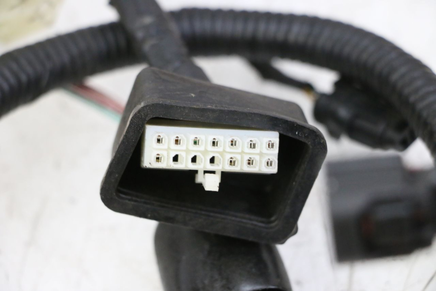 photo de WIRING HARNESS ORCAL CAVARO 4T 50 (2019 - 2023)