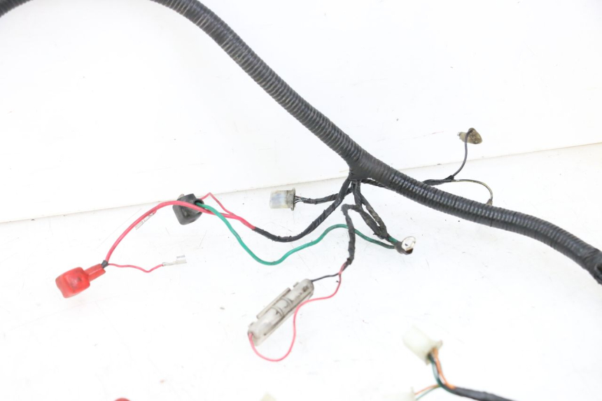 photo de WIRING HARNESS ORCAL CAVARO 4T 50 (2019 - 2023)