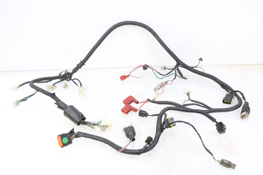 photo de WIRING HARNESS ORCAL CAVARO 4T 50 (2019 - 2023)