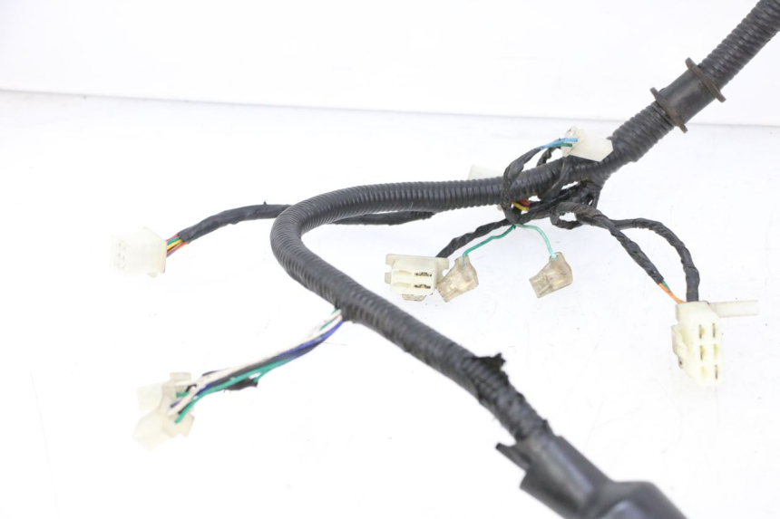 photo de WIRING HARNESS ORCAL CAVARO 4T 50 (2019 - 2023)