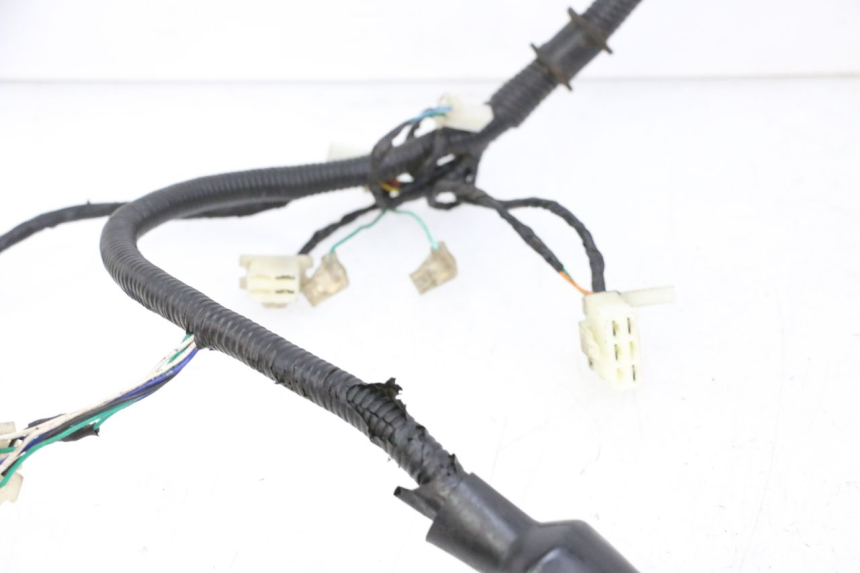 photo de WIRING HARNESS ORCAL CAVARO 4T 50 (2019 - 2023)
