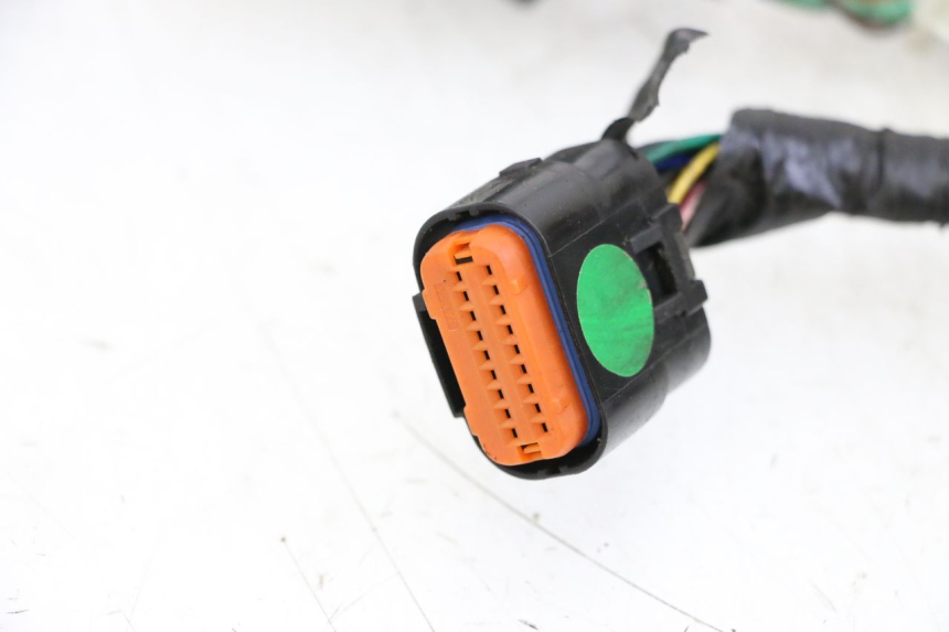 photo de WIRING HARNESS ORCAL CAVARO 4T 50 (2019 - 2023)