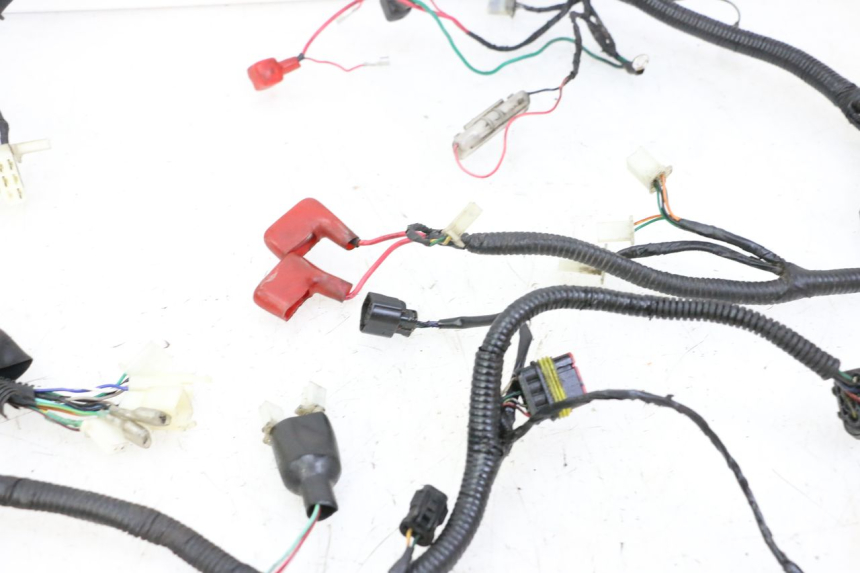 photo de WIRING HARNESS ORCAL CAVARO 4T 50 (2019 - 2023)