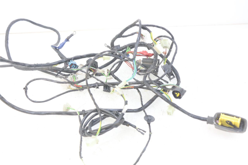 photo de WIRING HARNESS PEUGEOT CITYSTAR 2T 50 (2018 - 2021)