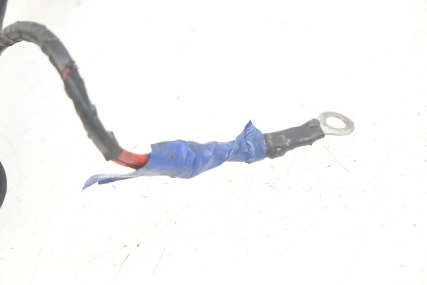 photo de WIRING HARNESS PEUGEOT CITYSTAR 2T 50 (2018 - 2021)