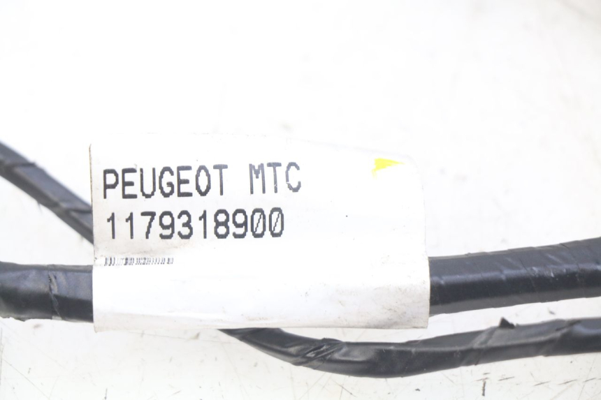photo de WIRING HARNESS PEUGEOT CITYSTAR 2T 50 (2018 - 2021)