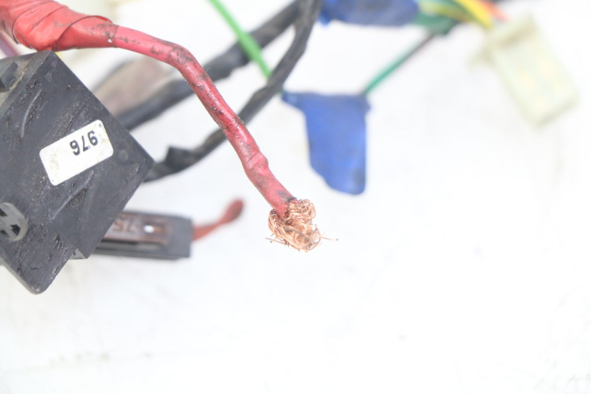 photo de WIRING HARNESS PEUGEOT CITYSTAR 2T 50 (2018 - 2021)