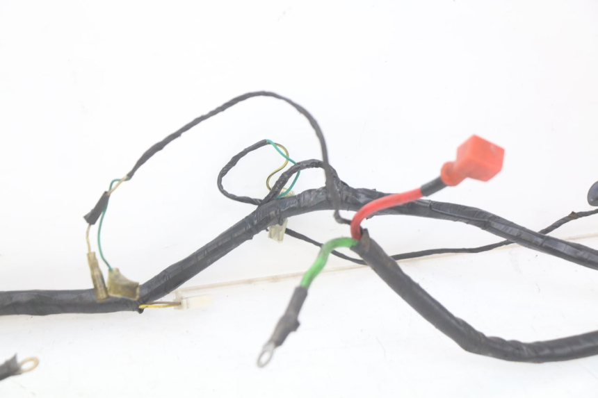 photo de WIRING HARNESS PEUGEOT CITYSTAR AIR 125 (2014 - 2017)