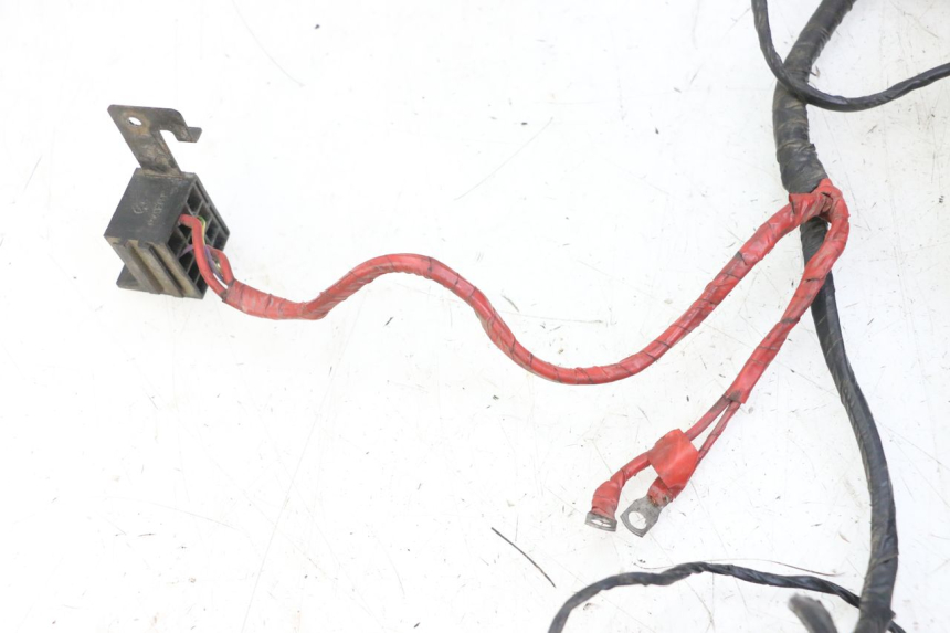 photo de WIRING HARNESS PEUGEOT CITYSTAR 50 (2013 - 2017)