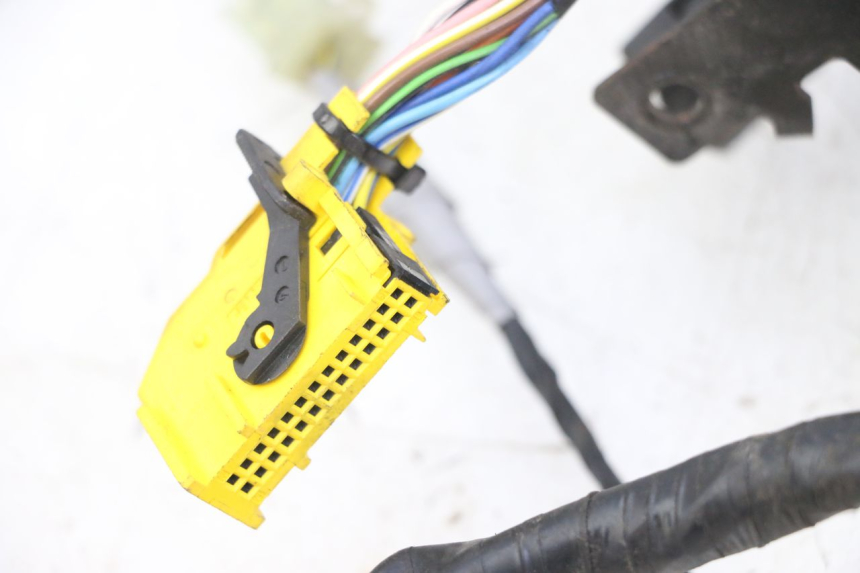 photo de WIRING HARNESS PEUGEOT CITYSTAR 50 (2013 - 2017)