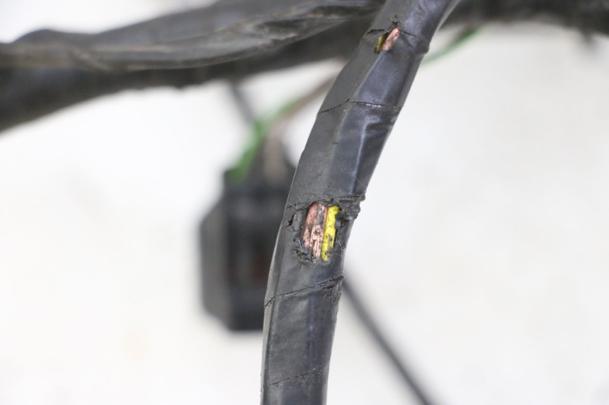 photo de WIRING HARNESS PEUGEOT CITYSTAR 50 (2013 - 2017)