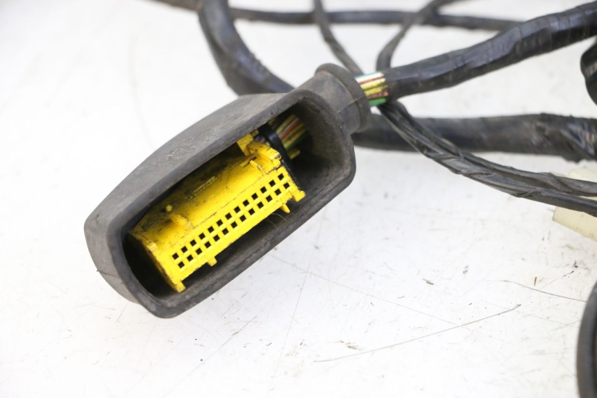 photo de WIRING HARNESS PEUGEOT CITYSTAR 50 (2013 - 2017)