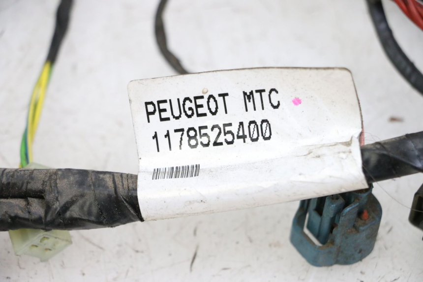 photo de WIRING HARNESS PEUGEOT CITYSTAR 50 (2013 - 2017)