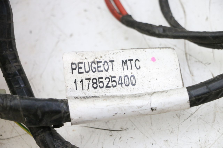 photo de WIRING HARNESS PEUGEOT CITYSTAR 50 (2013 - 2017)