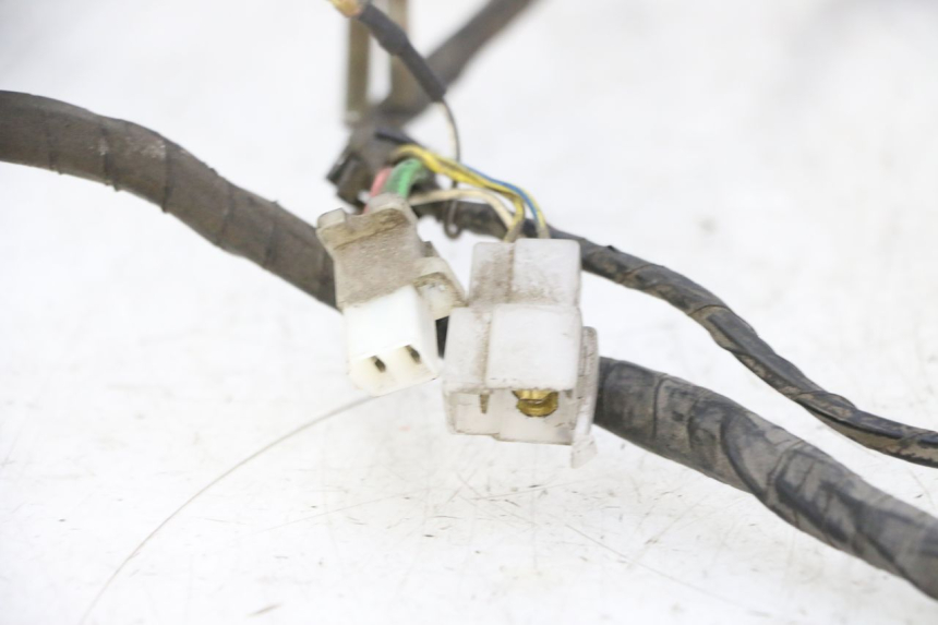 photo de WIRING HARNESS PEUGEOT CITYSTAR 50 (2013 - 2017)