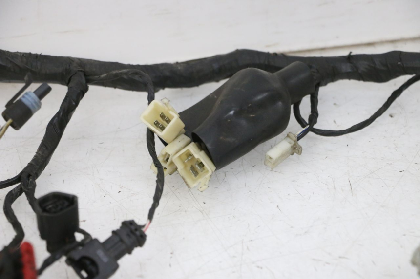 photo de WIRE HARNESS KSR CODE 125 (2018 - 2020) - Distinctive features