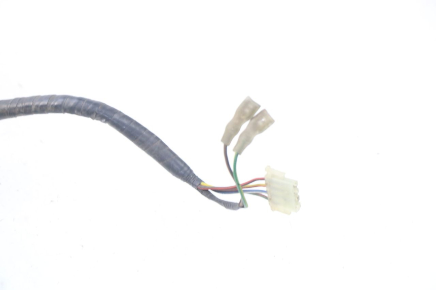 photo de SPEEDOMETER WIRE HARNESS HONDA FES PANTHEON 125 (2003 - 2007)