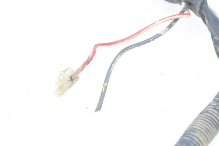 photo de WIRING HARNESS SUZUKI CP 80 (1985 - 1996)