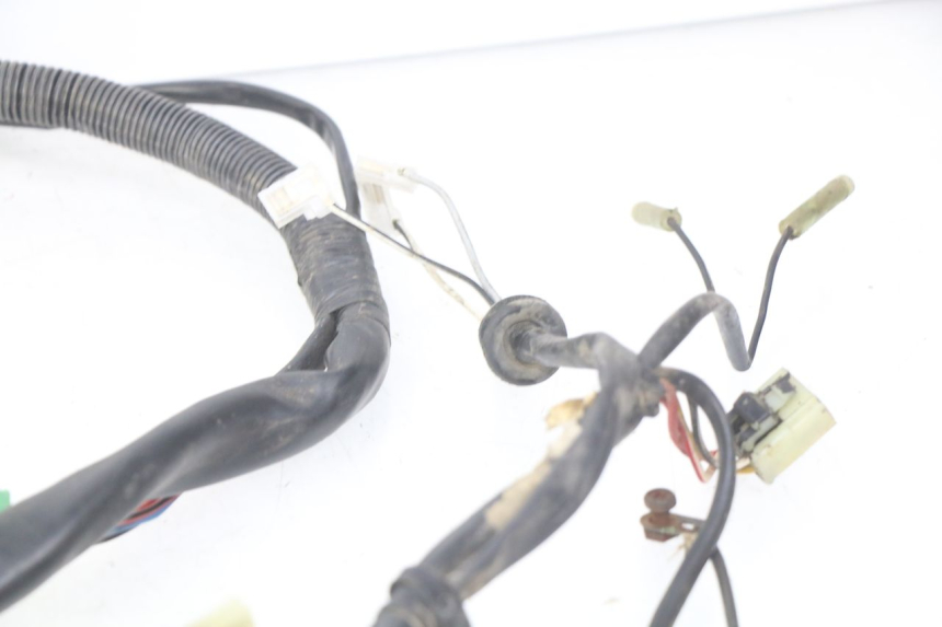 photo de WIRING HARNESS SUZUKI CP 80 (1985 - 1996)