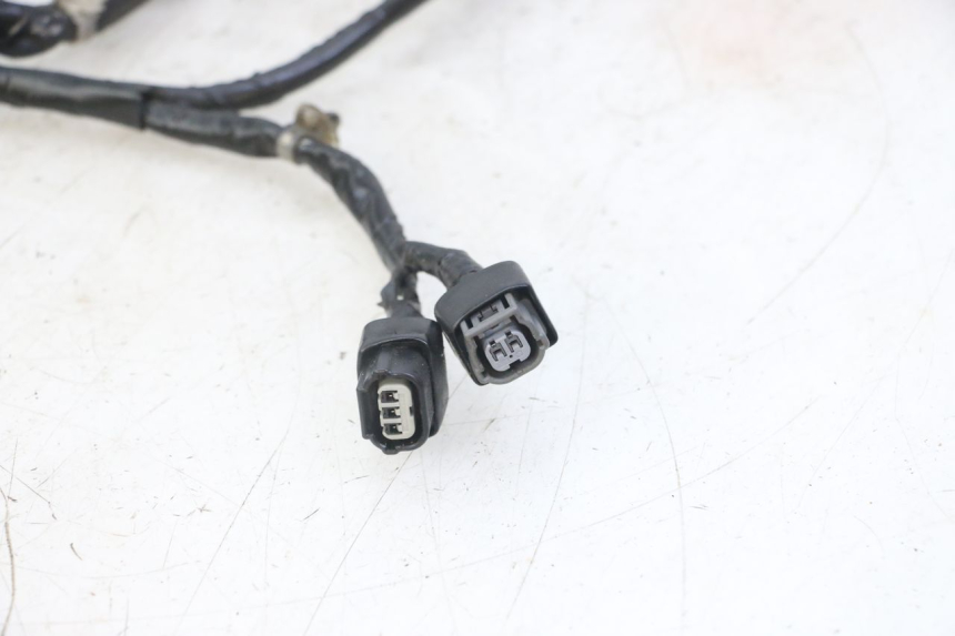 photo de WIRE HARNESS HONDA CRF-F CRF F 110 (2019 - 2022)