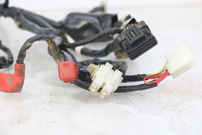photo de WIRE HARNESS HONDA CRF-F CRF F 110 (2019 - 2022)