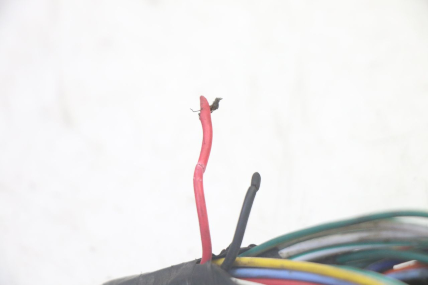 photo de WIRING HARNESS SYM CROX 4T 50 (2016 - 2023)