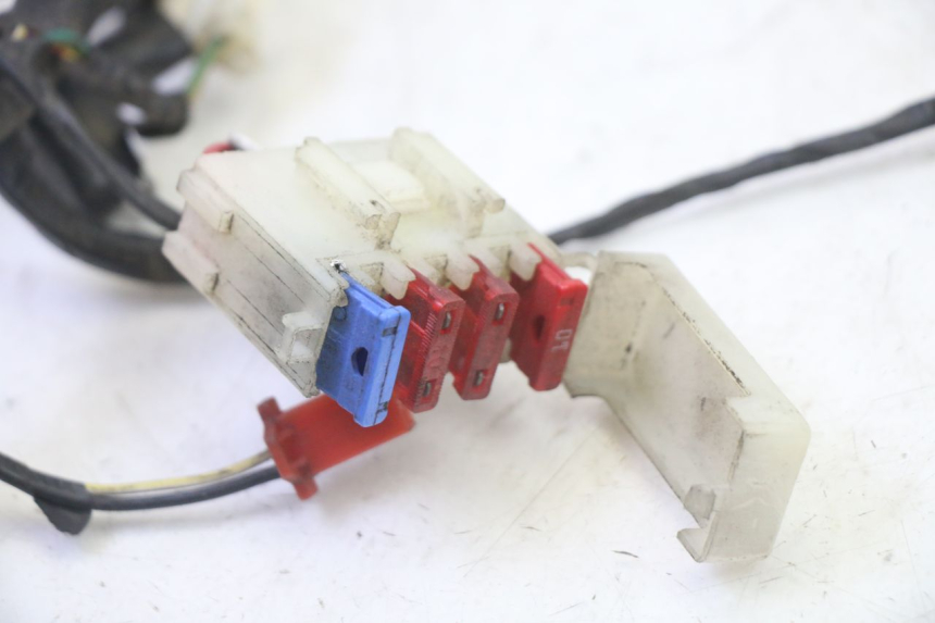 photo de WIRING HARNESS SYM CROX 4T 50 (2016 - 2023)