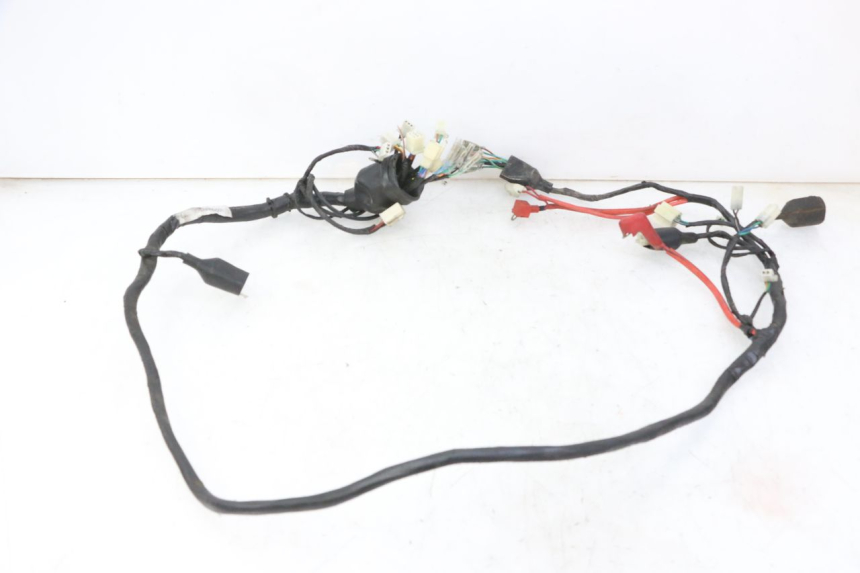 photo de WIRE HARNESS DAELIM BESBI 125 (2007 - 2008)