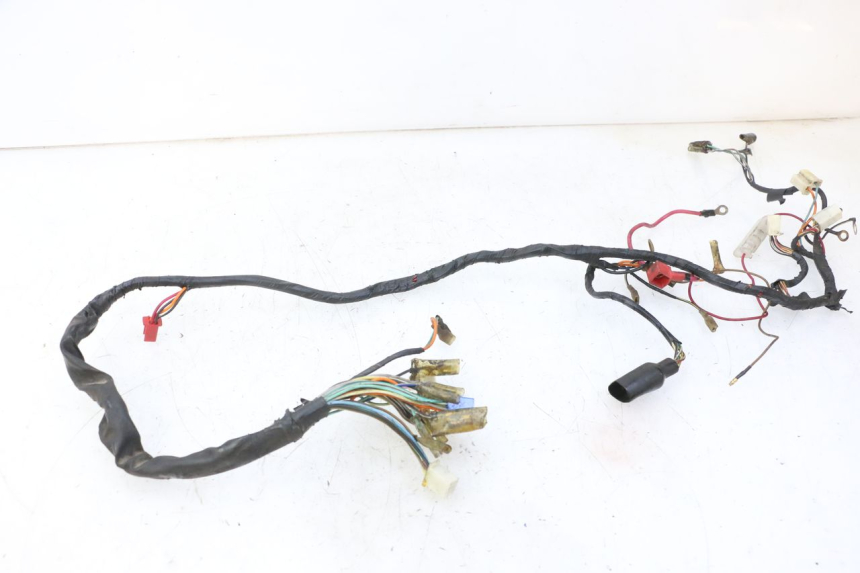 photo de WIRE HARNESS SKYTEAM DAX REPLICA 110 (2005 - 2015)