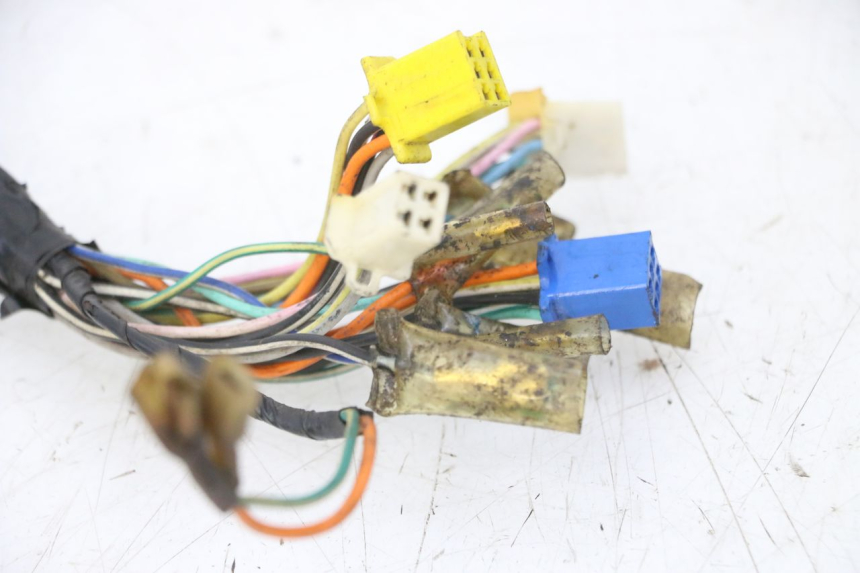 photo de WIRE HARNESS SKYTEAM DAX REPLICA 110 (2005 - 2015)