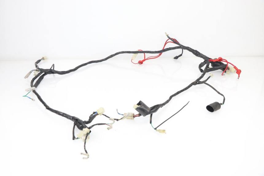 photo de WIRE HARNESS JM MOTORS DELIVERY 4T 50 (2017 - 2020)