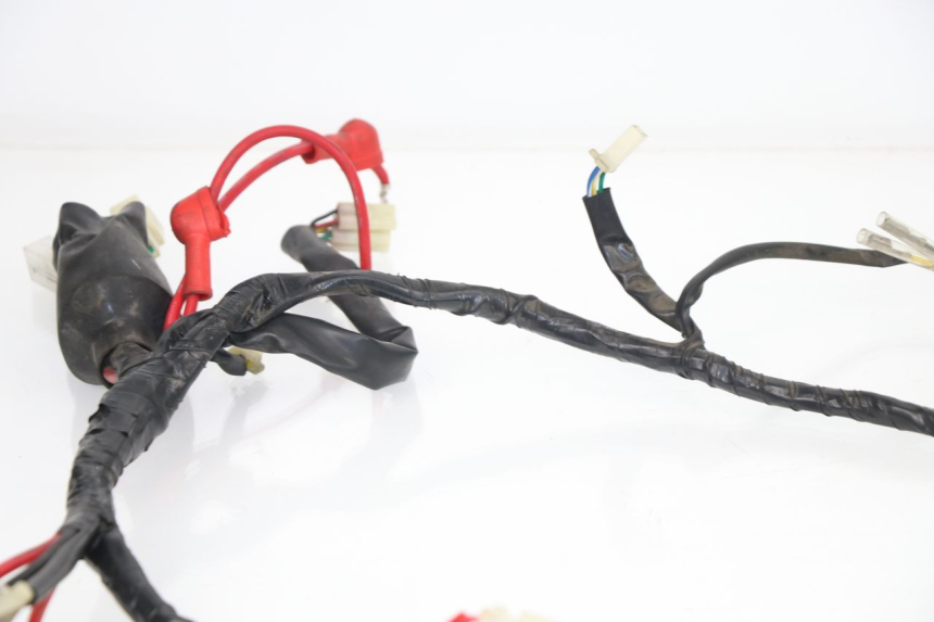 photo de WIRE HARNESS JM MOTORS DELIVERY 4T 50 (2017 - 2020)