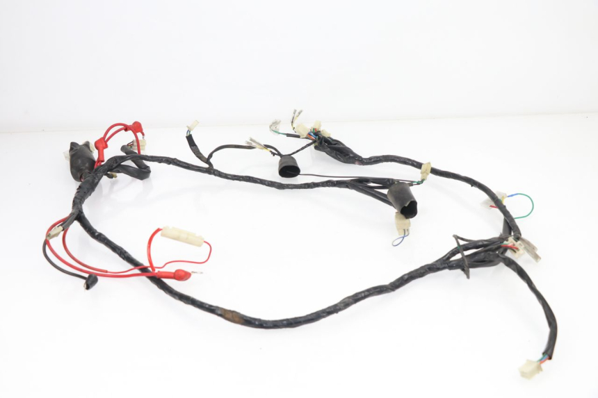 photo de WIRE HARNESS JM MOTORS DELIVERY 4T 50 (2017 - 2020)