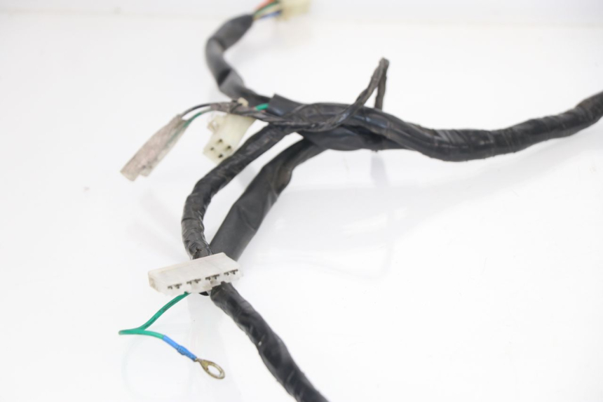 photo de WIRE HARNESS JM MOTORS DELIVERY 4T 50 (2017 - 2020)