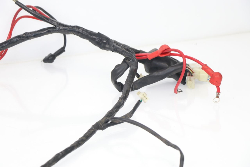 photo de WIRE HARNESS JM MOTORS DELIVERY 4T 50 (2017 - 2020)