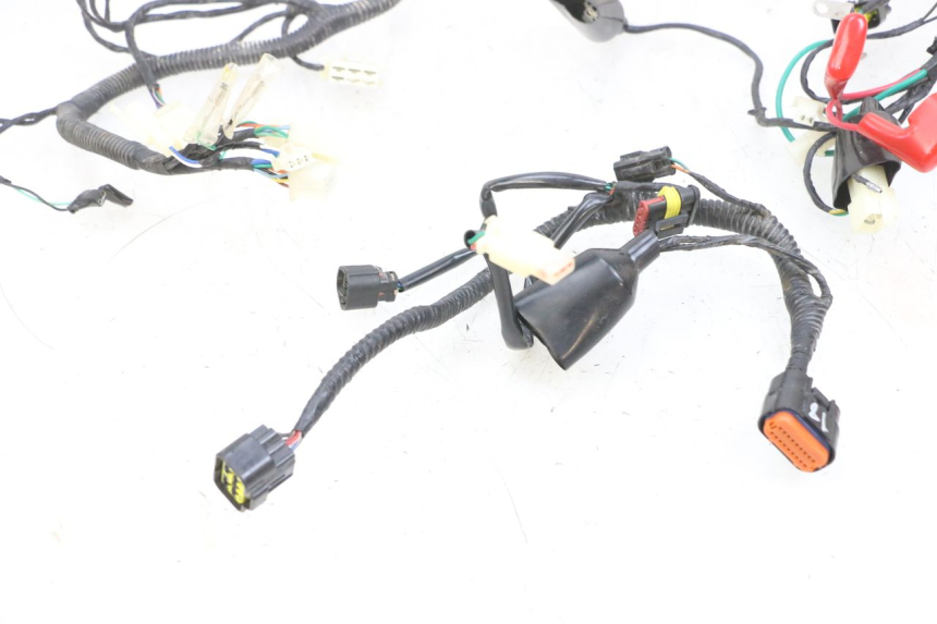 photo de WIRING HARNESS LONGJIA DIGITA 4T 50 (2019 - 2022) - Component detail