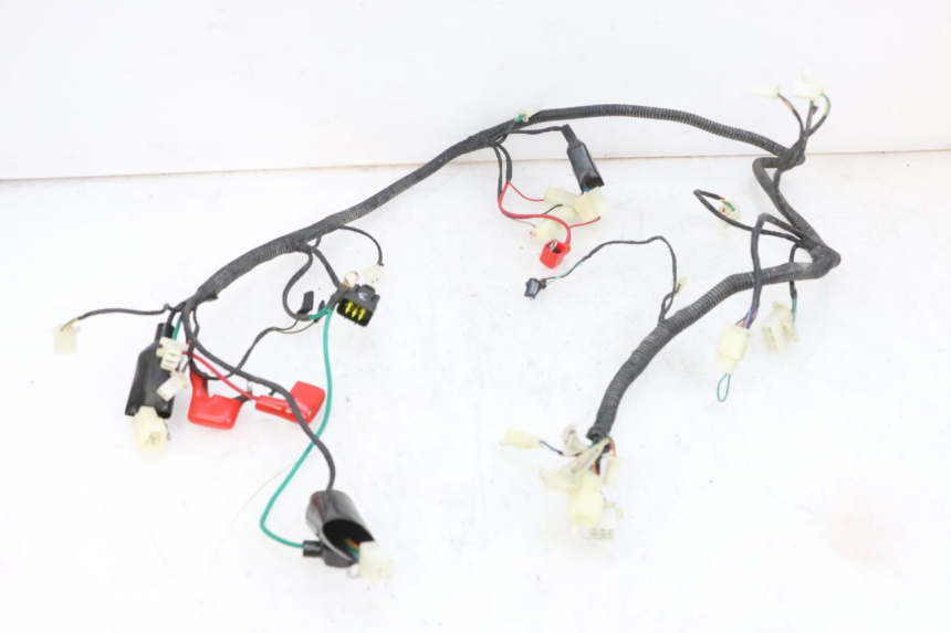 photo de WIRING HARNESS LONGJIA DIGITA 4T 50 (2019 - 2022) - Zoom on usage condition