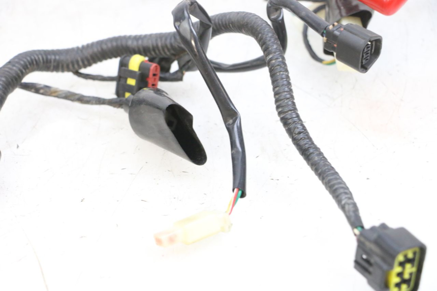 photo de WIRING HARNESS LONGJIA DIGITA 4T 50 (2019 - 2022) - Alternative perspective