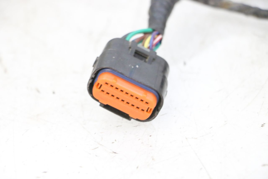 photo de WIRING HARNESS LONGJIA DIGITA 4T 50 (2019 - 2022) - Product overview