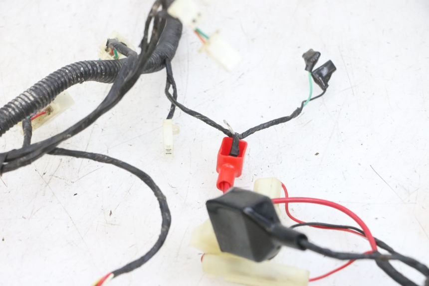 photo de WIRING HARNESS LONGJIA DIGITA 4T 50 (2019 - 2022) - Fixing points details