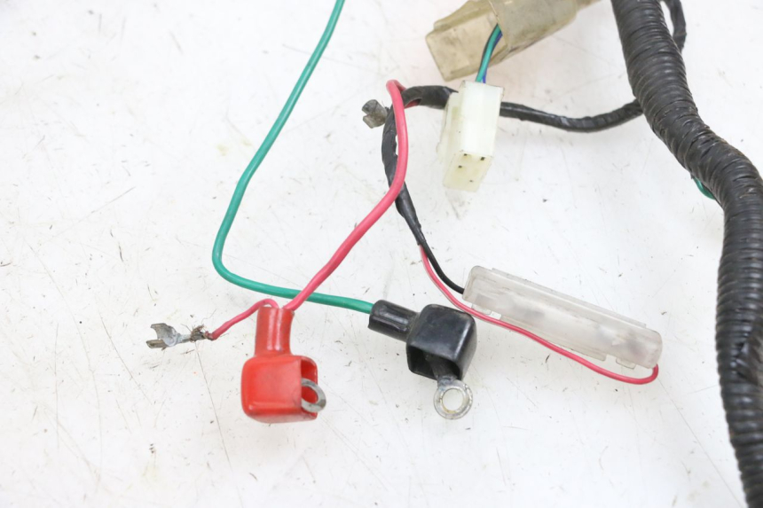 photo de WIRING HARNESS LONGJIA DIGITA 4T 50 (2019 - 2022) - Zoom on usage condition