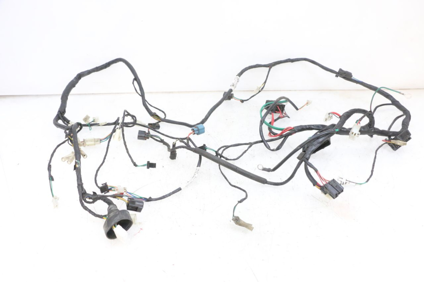 photo de WIRING HARNESS PEUGEOT DJANGO 4T 50 (2014 - 2019) - Main view