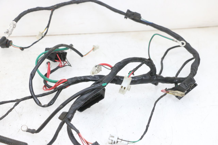 photo de WIRING HARNESS PEUGEOT DJANGO 4T 50 (2014 - 2019) - High-resolution close-up