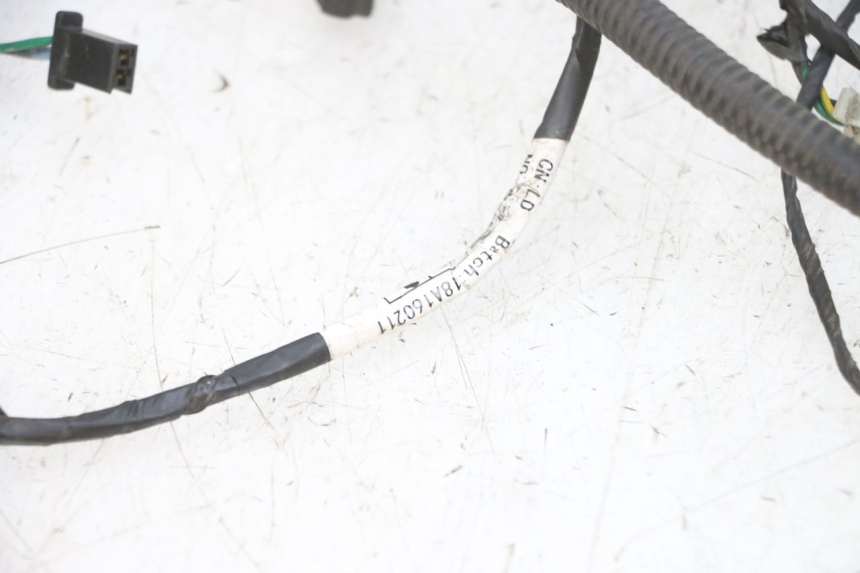 photo de WIRING HARNESS PEUGEOT DJANGO 4T 50 (2014 - 2019) - Focus on structure