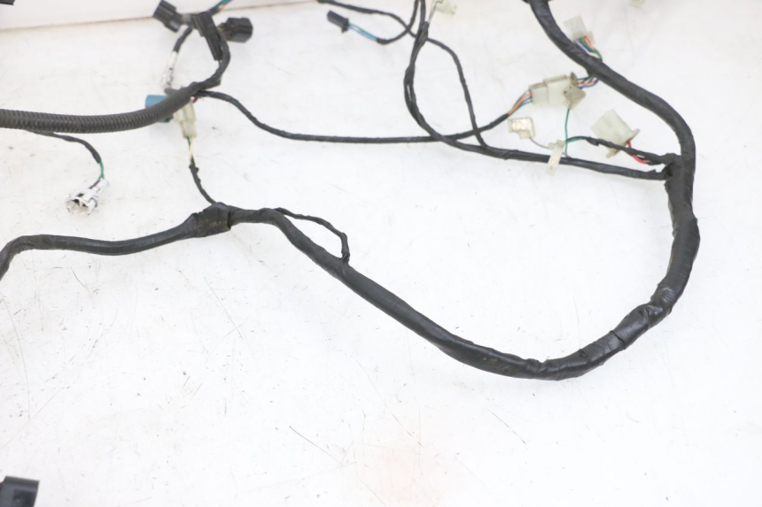 photo de WIRING HARNESS PEUGEOT DJANGO 4T 50 (2014 - 2019) - Alternative perspective