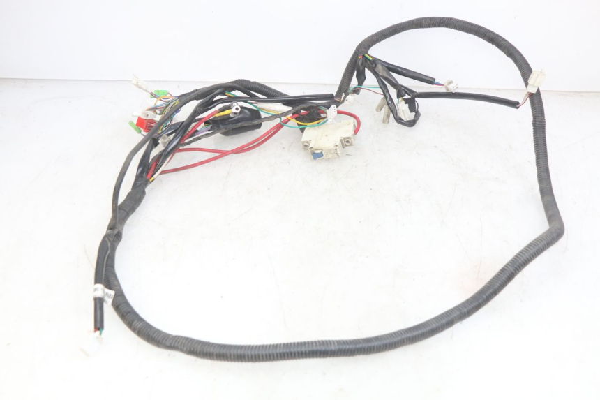 photo de WIRING HARNESS EASY WATTS E-OPAI 1 (2019 - 2024)